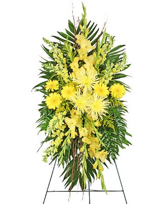 Funeral arrangements and standing sprays - A thoughtful flower arrangement for a funeral can provide a quiet moment of beauty and convey your condolences when words are difficult to find. Call or please visit our site 817 244-2345
https://fortworthflorist.com Fort Worth Florist. We are a real flower shop! Funeral arrangements and standing sprays - A thoughtful flower arrangement for a funeral can provide a quiet moment of beauty and convey your condolences when words are difficult to find. Call or please visit our site 817 244-2345
https://fortworthflorist.com Fort Worth Florist. We are a real flower shop!