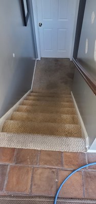 Some of our work we did - Area rugs, upholstery,￼￼￼ pet stain  we do it all give us a call for. Free quote