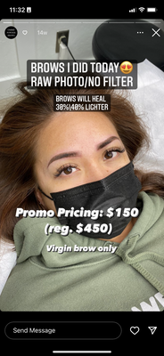 Ombre Brows - Ombre Powder Brows $150 Promo Pricing