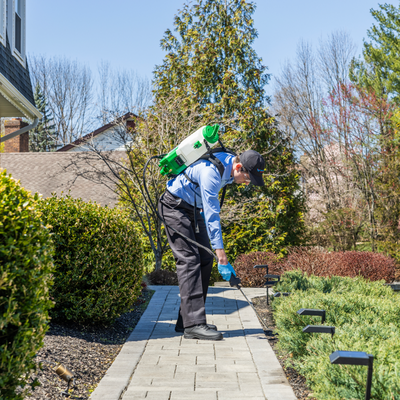 Call Waltham First. - When you're looking for pest control treatments that are effective, but also keep your guests, family, and pets safe in Pembroke and the surrounding areas, Waltham Pest Services is the company you need. Our pest control services at your home are meant to keep you safe and healthy. From dealing with the termites that can take a serious bite out of your large investment to allowing you to take back your backyard with professional mosquito and tick control treatments, Waltham has the experts you need. And of course, we remember the inside of your home, too. With a comprehensive rodent and cockroach plans that you can count on and routine seasonal pest treatments all year round, you can set it and forget it with Waltham Pest Services. We can even provide you with new pest-controlling insulation! Your Plymouth County, Massachusetts business can also be pest-free. From cockroaches to flies to bed bugs and every pest in between, our commercial pest control services are fully guaranteed and customized to your business and its needs. We even offer specialty services like remote monitoring, floor drain maintenance, a professional pest cleanup program, and the only rodent canine in New England. There’s no place for pests to hide when you bring in a trusted partner like Waltham. Our technicians are trained, licensed, and backed by Board Certified Entomologists, so you know you’re bringing in the best. For more than 135 years, Waltham Pest Services has been the premier pest control company in New England. Call Waltham first.