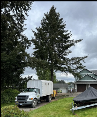 Trusted Tree Pruning and Trimming Experts - Keep your trees healthy all year long with help from the licensed, insured and bonded team at JMV Professional Tree Service LLC. Whether you need a tree cut back because of branches brushing up against a structure or they're interfering with utility lines, we've got you covered. We are certified for utility line clearing for homes and businesses.
Our tree climbers have 12 years of experience to put to work for you. We try to meet or beat any qualified written estimate. Senior citizens and large projects receive 10% OFF with us. We guarantee your complete satisfaction. Have an emergency? We're available 24/7 when an emergency strikes. For a FREE estimate, call (425) 777-6922. Trusted Tree Pruning and Trimming Experts - Keep your trees healthy all year long with help from the licensed, insured and bonded team at JMV Professional Tree Service LLC. Whether you need a tree cut back because of branches brushing up against a structure or they're interfering with utility lines, we've got you covered. We are certified for utility line clearing for homes and businesses.
Our tree climbers have 12 years of experience to put to work for you. We try to meet or beat any qualified written estimate. Senior citizens and large projects receive 10% OFF with us. We guarantee your complete satisfaction. Have an emergency? We're available 24/7 when an emergency strikes. For a FREE estimate, call (425) 777-6922.