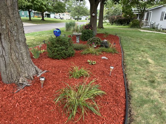 Fresh Multch - This yard went from dull and lackluster to fresh and vibrant with new mulch. Contact us today and see how we can help you transform your mulch beds. Fresh Multch - This yard went from dull and lackluster to fresh and vibrant with new mulch. Contact us today and see how we can help you transform your mulch beds.