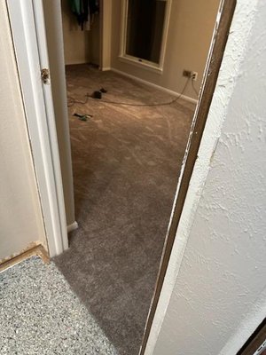 Carpet Removal and Replacement - This carpet replacement was a prime example to our attention to detail.