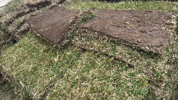 Sod Install- 7 pallets Snt. Agustine - Completed a sod installation project using seven pallets over a two-day period. The job included proper ground preparation, leveling the soil, and incorporating organic leaves beneath the sod to naturally decompose and enrich the soil, promoting strong and healthy grass growth. The project was completed without any issues, and the client remained highly satisfied, leaving an honest 5-star review.
