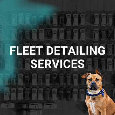 Fleet Detailing Services - We provide professional detailing services for businesses that rely on clean, well-maintained vehicles. From company cars to shuttles and buses, we help keep your fleet consistent and presentable.

Our mobile setup allows us to service vehicles on-site, minimizing downtime and making scheduling simple.

We offer flexible service plans to keep your fleet clean and ready for daily use.