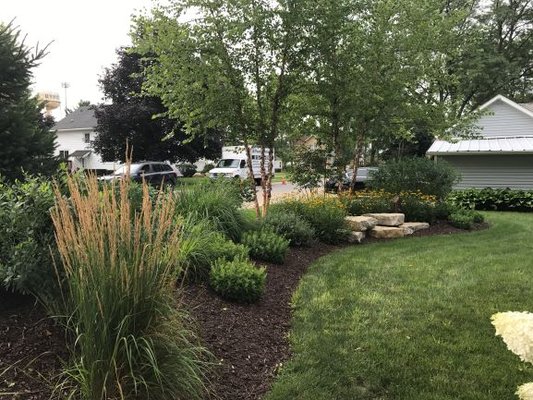 greenscape - backyard sidewalk