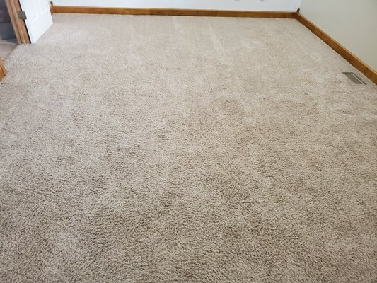 Carpet Stain Removal and protection - This job was on an old rental single family house. The carpets had been badly stained and soiled. The landlord wanted to clean the carpets before he offered the property to a new rental. The landlord was happy with the results cause it saved him a costly and expensive replacement of the carpets.
Then, afterwards the landlord asked us to go to his own house to clean his sectional sofa set. Carpet Stain Removal and protection - This job was on an old rental single family house. The carpets had been badly stained and soiled. The landlord wanted to clean the carpets before he offered the property to a new rental. The landlord was happy with the results cause it saved him a costly and expensive replacement of the carpets.
Then, afterwards the landlord asked us to go to his own house to clean his sectional sofa set.