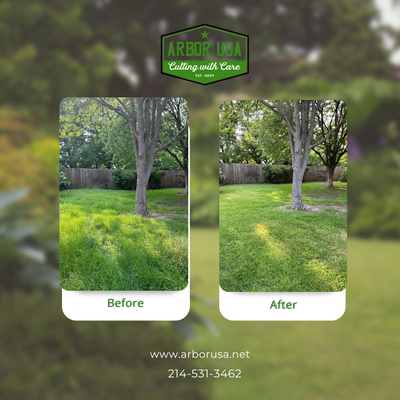Before and After Samples - A brief overview of some of our jobs! Before and After Samples - A brief overview of some of our jobs!