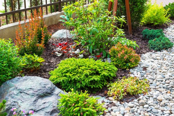 Landscaping Services 760-987-7635 - Custom Design: Collaborate with our experts to conceptualize and design your ideal landscape, perfectly tailored to your lifestyle and preferences.
Installation & Maintenance: From flawless installation to meticulous upkeep, our team ensures your landscape remains vibrant and healthy throughout the seasons.
Water Features & Lighting: Add elegance and tranquility to your space with captivating water features and expertly-designed lighting solutions.
Hardscaping Integration: Seamlessly integrate hardscape elements with your landscape design for a cohesive and functional outdoor haven. Landscaping Services 760-987-7635 - Custom Design: Collaborate with our experts to conceptualize and design your ideal landscape, perfectly tailored to your lifestyle and preferences.
Installation & Maintenance: From flawless installation to meticulous upkeep, our team ensures your landscape remains vibrant and healthy throughout the seasons.
Water Features & Lighting: Add elegance and tranquility to your space with captivating water features and expertly-designed lighting solutions.
Hardscaping Integration: Seamlessly integrate hardscape elements with your landscape design for a cohesive and functional outdoor haven.