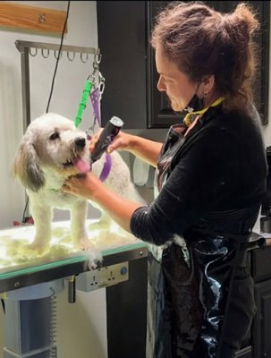 new customer service discount - Pampamobile Pet Grooming Service in the comfort of your home, office or anywhere needed. Groom Van is a Hanvey conversion and is fully self sufficient. 8 years works with animals1 new customer service discount - Pampamobile Pet Grooming Service in the comfort of your home, office or anywhere needed. Groom Van is a Hanvey conversion and is fully self sufficient. 8 years works with animals1