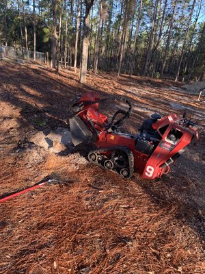 Stump grinding and removal - These are actual stump projects to illustrate some of our stump grinding capabilities Stump grinding and removal - These are actual stump projects to illustrate some of our stump grinding capabilities