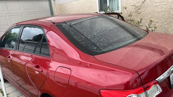 Nissan Sentra 2018 - Tint ceramic Nissan Sentra 2018 - Tint ceramic
