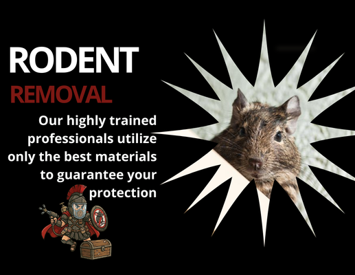 Rat Removal - Enjoying a bright day outside is the ultimate in relaxation. Sadly, mosquitoes can quickly ruin this occasion. Work with our professionals at Spartan Pest Control rather than wasting money on candles and sprays that ineffectively repel mosquitoes! Rat Removal - Enjoying a bright day outside is the ultimate in relaxation. Sadly, mosquitoes can quickly ruin this occasion. Work with our professionals at Spartan Pest Control rather than wasting money on candles and sprays that ineffectively repel mosquitoes!
