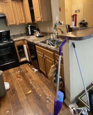 Move Out Cleaning (Springfield) - Move out clean for a client. They were very satisfied. Move Out Cleaning (Springfield) - Move out clean for a client. They were very satisfied.