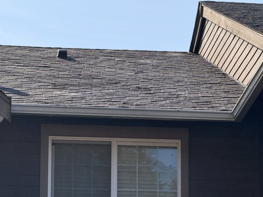 Roof soft wash and moss treatment - Roof clean and treat