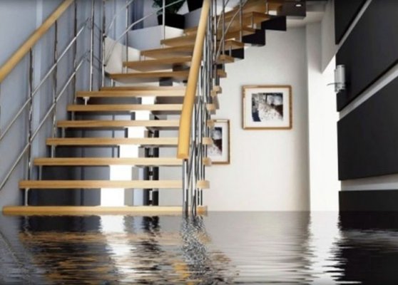 Water Extraction and Flood Clean-up - Plain and simple - If your house floods due to busted pipes, sewer line, or storms, CAT Recovery Services will extract the water or sewage, dry the structure, sanitize and disinfect the contaminated material and guarantee the results in an experienced professional manner.
A quick response is critical to minimize damage and expense.
We will bring calm to the problem with a fast, but orderly task list and experienced response.
--
“I want to Thank Cat Recovery for the quick response to my flooded basement. We called Kason with Cat Recovery and he was here within 1 hour. Want to Thank Alan, Mark, Kason and the whole team ..." — Marlene Dickson, GA Water Extraction and Flood Clean-up - Plain and simple - If your house floods due to busted pipes, sewer line, or storms, CAT Recovery Services will extract the water or sewage, dry the structure, sanitize and disinfect the contaminated material and guarantee the results in an experienced professional manner.
A quick response is critical to minimize damage and expense.
We will bring calm to the problem with a fast, but orderly task list and experienced response.
--
“I want to Thank Cat Recovery for the quick response to my flooded basement. We called Kason with Cat Recovery and he was here within 1 hour. Want to Thank Alan, Mark, Kason and the whole team ..." — Marlene Dickson, GA