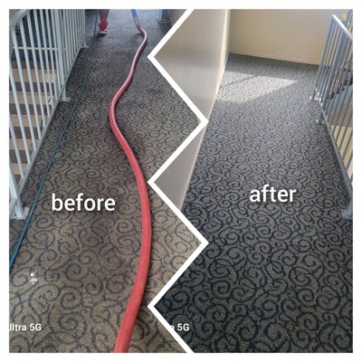 carpet cleaning - the difference between before and after
call us now for more information carpet cleaning - the difference between before and after
call us now for more information