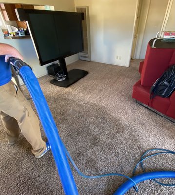Heavy soiled carpet? No problem! - This carpet was considered a throw away for most. We love a challenge!