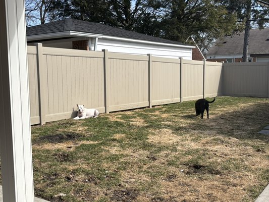 Pooper scooping - We offer weekly biweekly or just 1x services year round Pooper scooping - We offer weekly biweekly or just 1x services year round
