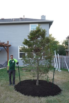 Tree Planting - Planting a new tree is one of our most rewarding jobs, and we love contributing to the City of Austin and its charming neighborhoods by adorning it with healthy trees. Our experts can assist you in selecting the right native species for your designated space, and we handle everything from proper root collar exposure during planting to providing the education you need for long-term care. As a fully insured, full-service tree care company in Austin, we ensure your new trees get the best possible start to grow into valuable, vibrant assets for your property.