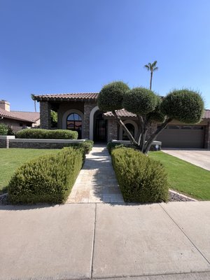 Elegant Travertine Walkway - This project features a travertine pathway, adding a timeless touch of elegance and durability to the landscape. Elegant Travertine Walkway - This project features a travertine pathway, adding a timeless touch of elegance and durability to the landscape.