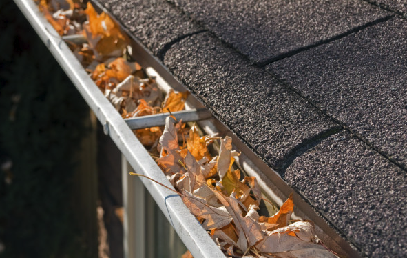 Gutter Services - Gutter Services Gutter Services - Gutter Services