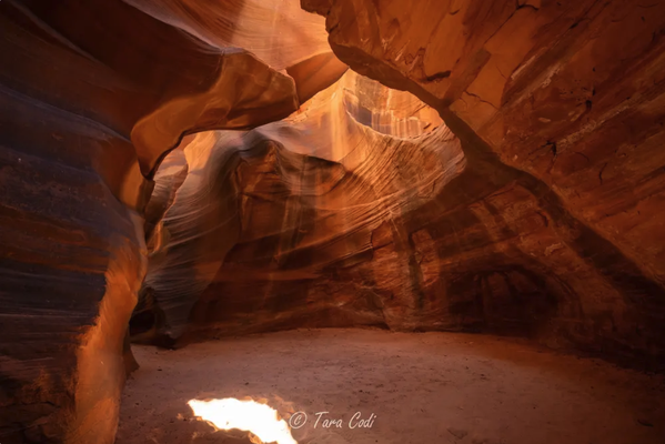 Cardiac Canyon- Photography - Tour Guides and Customers will slide their way to the bottom of the canyon. A steep sand trail that is an adventure in itself.
At the bottom, Taadidiin Tour Guides will assist customers through the different sections of Cardiac Canyon. This canyon is about 2.5 miles in length. So many sights to see and photograph! A secluded canyon away from the crowds. Cardiac Canyon- Photography - Tour Guides and Customers will slide their way to the bottom of the canyon. A steep sand trail that is an adventure in itself.
At the bottom, Taadidiin Tour Guides will assist customers through the different sections of Cardiac Canyon. This canyon is about 2.5 miles in length. So many sights to see and photograph! A secluded canyon away from the crowds.