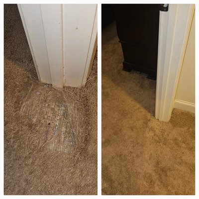 carpet repair - Carpet repair carpet repair - Carpet repair
