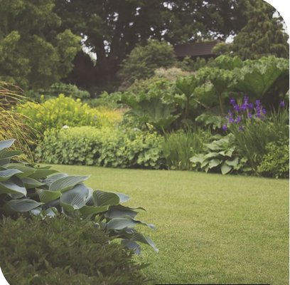 Creating Beautiful Landscapes One Yard at a Time - Your landscape is the first thing your visitors see. Make a great first impression with our help. JBR Landscapes provides landscaping services in San Antonio, TX and the surrounding area. We’ll listen to your needs and preferences and design a plan that fits your lifestyle. From rock to sod installation services, we’ll bring out the best in your property. You’ll enjoy a stunning outdoor space that you can be proud of.
Call 210-355-4616 now to request our landscaping work. Creating Beautiful Landscapes One Yard at a Time - Your landscape is the first thing your visitors see. Make a great first impression with our help. JBR Landscapes provides landscaping services in San Antonio, TX and the surrounding area. We’ll listen to your needs and preferences and design a plan that fits your lifestyle. From rock to sod installation services, we’ll bring out the best in your property. You’ll enjoy a stunning outdoor space that you can be proud of.
Call 210-355-4616 now to request our landscaping work.