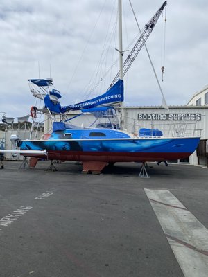 Customized Boat Wraps! - Whether you are looking to add just a logo to your boat, a simple decal, or you are wanting a full or partial boat wrap, Wrap Works can handle it all. We utilize only the highest quality materials and products in the vinyl wrap industry from top manufacturers such as 3M, Avery & Oracal. Our vinyl film for boats and marine vessels is designed specifically for the marine world. Making them highly durable, cleaning easier and 100% safe for marine life & its ecosystem.
When properly prepped and installed a vinyl boat wrap comes with many benefits and will last for years to come. Our certified vinyl wrap technicians here at Wrap Works know that our quality & exceptional service coupled with the use of industry-standard high-quality materials will leave you with the best boat wrap in Orange County & surrounding areas.
Benefits Of A Boat Wrap:
Ease Of Maintenance
Safer For Marine Life/Environmentally Responsible
Stands Up To The Corrosive Effects Of Salt Water
Durability
Individuality
Long-Lasting
Offers A Great ROI
Protects Against UV Rays
Protects Against Weather-Related Elements
Protects Existing Paint Job
Maintains Higher Resale Value
100% Removable/Won’t Damage Factory Paint
Whether you want to help promote & market your fishing charter, customize the look of your boat, or are simply looking to add individuality or custom graphics to your boat, yacht, or another marine vessel a boat wrap is the way to go. Set yourself apart from the rest of the boats out on the water! Customized Boat Wraps! - Whether you are looking to add just a logo to your boat, a simple decal, or you are wanting a full or partial boat wrap, Wrap Works can handle it all. We utilize only the highest quality materials and products in the vinyl wrap industry from top manufacturers such as 3M, Avery & Oracal. Our vinyl film for boats and marine vessels is designed specifically for the marine world. Making them highly durable, cleaning easier and 100% safe for marine life & its ecosystem.
When properly prepped and installed a vinyl boat wrap comes with many benefits and will last for years to come. Our certified vinyl wrap technicians here at Wrap Works know that our quality & exceptional service coupled with the use of industry-standard high-quality materials will leave you with the best boat wrap in Orange County & surrounding areas.
Benefits Of A Boat Wrap:
Ease Of Maintenance
Safer For Marine Life/Environmentally Responsible
Stands Up To The Corrosive Effects Of Salt Water
Durability
Individuality
Long-Lasting
Offers A Great ROI
Protects Against UV Rays
Protects Against Weather-Related Elements
Protects Existing Paint Job
Maintains Higher Resale Value
100% Removable/Won’t Damage Factory Paint
Whether you want to help promote & market your fishing charter, customize the look of your boat, or are simply looking to add individuality or custom graphics to your boat, yacht, or another marine vessel a boat wrap is the way to go. Set yourself apart from the rest of the boats out on the water!