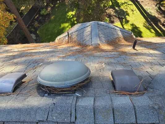 Roof Blow off/ Gutter Blow out Bundle Service - Some things just go together, like peanut butter and jelly. Roof blow offs and gutter blow outs are securely in that bracket. Cleaning the roof off at the same time lengthens the amount of time that the gutter clean out stays effective. And right now, we are offering a deal you wouldn't believe on bundling the two services together! Get in touch with us for more information! Roof Blow off/ Gutter Blow out Bundle Service - Some things just go together, like peanut butter and jelly. Roof blow offs and gutter blow outs are securely in that bracket. Cleaning the roof off at the same time lengthens the amount of time that the gutter clean out stays effective. And right now, we are offering a deal you wouldn't believe on bundling the two services together! Get in touch with us for more information!