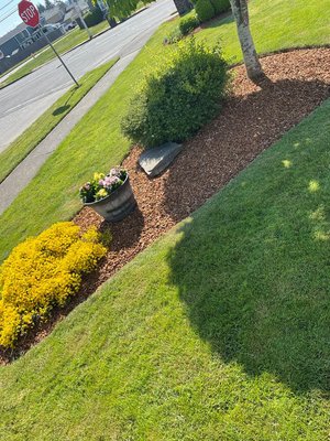 Bark dust - Bark dust to give this home a better look. Bark dust - Bark dust to give this home a better look.