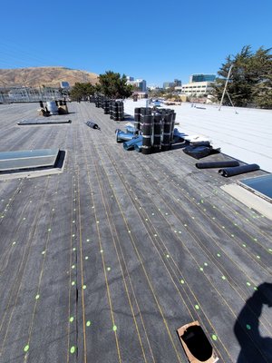 Commercial Roofing - McCurdy Roofing provides Commercial Roofing Services in San Francisco Bay Area. Commercial roofing is complicated and if done incorrectly, the outcome of badly performed installations can be far more dangerous. This is the reason that there are more residential roofing companies than commercial. Here at McCurdy Roofing, our experience make us your best choice in the San Francisco Bay Area for meeting and exceeding your commercial roofing needs.
We are exceedingly careful when adding people to our team, making sure they have the ability and experience needed, as well as an honest and strong work ethic. They must also comply with our drug-free workplace policy. We only choose those who will always take pride in their work to ensure your commercial roofing project is completed on time, on budget, and to your complete satisfaction.
We also know that when you have a roofing issue at your business, time is of the essence. Our quick response rommercial roofing team will quickly arrive and get to work to save your inventory, equipment, and other business assets.
You will enjoy both a product warranty and labor warranty, so you can have peace of mind that your business won’t incur added expenses repairing your building’s roof during that period of time. Our services are complete, including supplying the necessary roofing permits and being roofing code-compliant at all times. Contact us today with any questions you may have about our commercial roofing services or our company.
Commercial Roof Installation
Running a commercial business involves coordinating and directing many different aspects, including the maintenance of your physical facilities. Because a roof is key in the protection of your business, having a sturdy, reliable roof is necessary. If you are in need of commercial roof installation in the San Francisco Bay Area, our team at McCurdy Roofing is the one to call.
Commercial roof installation is somewhat different than installing a new roof on a home. The shape and slope of the roof has to be taken into account, as well as which materials are available for commercial jobs. No matter what your needs are, we are ready to help you get the best roof possible for your business.
Our experience with commercial roof installation has taught us how to complete an otherwise complicated job in an efficient, stress-free way. You won’t have to worry about the progress of your commercial roof installation when you work with us. Each member of our team is chosen because they are trustworthy and qualified for the job.
We are a locally owned and operated business. Each of our customers is important to us, and we work hard to ensure each job we complete is done efficiently and within your budget. You can trust our team to provide quality work that will benefit your business for years to come.
Commercial Roof Repair in the San Francisco Bay Area
Taking care of the roof on your business can seem overwhelming, especially when faced with unexpected weather and damages. However, repairing your roof in a timely manner is important to prevent small repairs from getting much worse. At McCurdy Roofing, we are happy to offer quality commercial roof repair to our customers in the San Francisco Bay Area.
Whenever you need commercial roof repair done, you can count on our team to respond to your needs quickly. We know your business can’t stop for minor leaks or repairs, and we are dedicated to getting the problem fixed efficiently and correctly without disrupting your business.
Each member of our team is qualified and capable of providing expert commercial roof repair. You can trust each member of our repair team to be friendly, professional, and efficient when working on any repair. We have helped many different businesses and government agencies with commercial roof repair over the years, and have established ourselves as a company you can trust. We are committed to continue offering great commercial roof repair services to our customers. Commercial Roofing - McCurdy Roofing provides Commercial Roofing Services in San Francisco Bay Area. Commercial roofing is complicated and if done incorrectly, the outcome of badly performed installations can be far more dangerous. This is the reason that there are more residential roofing companies than commercial. Here at McCurdy Roofing, our experience make us your best choice in the San Francisco Bay Area for meeting and exceeding your commercial roofing needs.
We are exceedingly careful when adding people to our team, making sure they have the ability and experience needed, as well as an honest and strong work ethic. They must also comply with our drug-free workplace policy. We only choose those who will always take pride in their work to ensure your commercial roofing project is completed on time, on budget, and to your complete satisfaction.
We also know that when you have a roofing issue at your business, time is of the essence. Our quick response rommercial roofing team will quickly arrive and get to work to save your inventory, equipment, and other business assets.
You will enjoy both a product warranty and labor warranty, so you can have peace of mind that your business won’t incur added expenses repairing your building’s roof during that period of time. Our services are complete, including supplying the necessary roofing permits and being roofing code-compliant at all times. Contact us today with any questions you may have about our commercial roofing services or our company.
Commercial Roof Installation
Running a commercial business involves coordinating and directing many different aspects, including the maintenance of your physical facilities. Because a roof is key in the protection of your business, having a sturdy, reliable roof is necessary. If you are in need of commercial roof installation in the San Francisco Bay Area, our team at McCurdy Roofing is the one to call.
Commercial roof installation is somewhat different than installing a new roof on a home. The shape and slope of the roof has to be taken into account, as well as which materials are available for commercial jobs. No matter what your needs are, we are ready to help you get the best roof possible for your business.
Our experience with commercial roof installation has taught us how to complete an otherwise complicated job in an efficient, stress-free way. You won’t have to worry about the progress of your commercial roof installation when you work with us. Each member of our team is chosen because they are trustworthy and qualified for the job.
We are a locally owned and operated business. Each of our customers is important to us, and we work hard to ensure each job we complete is done efficiently and within your budget. You can trust our team to provide quality work that will benefit your business for years to come.
Commercial Roof Repair in the San Francisco Bay Area
Taking care of the roof on your business can seem overwhelming, especially when faced with unexpected weather and damages. However, repairing your roof in a timely manner is important to prevent small repairs from getting much worse. At McCurdy Roofing, we are happy to offer quality commercial roof repair to our customers in the San Francisco Bay Area.
Whenever you need commercial roof repair done, you can count on our team to respond to your needs quickly. We know your business can’t stop for minor leaks or repairs, and we are dedicated to getting the problem fixed efficiently and correctly without disrupting your business.
Each member of our team is qualified and capable of providing expert commercial roof repair. You can trust each member of our repair team to be friendly, professional, and efficient when working on any repair. We have helped many different businesses and government agencies with commercial roof repair over the years, and have established ourselves as a company you can trust. We are committed to continue offering great commercial roof repair services to our customers.