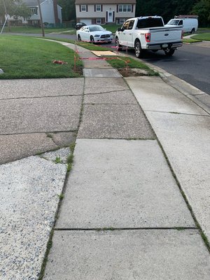 Driveway installation and curb apron replacement. - Q Dog wanted a new look for his backyard and we were glad to help. We replaced his existed curb apron and installed and brand new 2 car driveway. Driveway installation and curb apron replacement. - Q Dog wanted a new look for his backyard and we were glad to help. We replaced his existed curb apron and installed and brand new 2 car driveway.