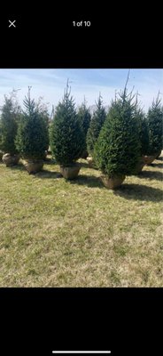 FRANCO LANDSCAPE - FREE ESTIMATES FRANCO LANDSCAPE - FREE ESTIMATES