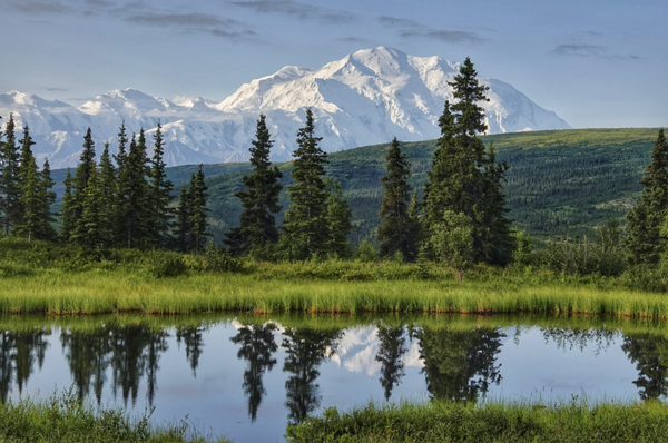 Alaska - Denali National Park - Whether you are hiking, camping, rafting, on a bus tour or even sightseeing, keep the binoculars and camera ready as you're likely to spot a moose, caribou, wolf, Dall sheep, or grizzly bear! Be wowed by the 6-million acres of pristine wilderness and stunning beauty.