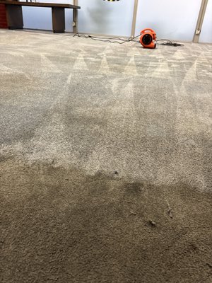 Tow company carpet cleaning - When we arrived at the tow company, it was immediately clear the carpets had been neglected for years. Heavy foot traffic from mechanics, office staff, and customers had taken its toll—oil stains, dirt buildup, and deep-set grime were embedded throughout the fibers. In some areas, the carpet had darkened so much it looked beyond saving.

We started with a thorough inspection, identifying high-traffic zones and problem areas where grease and contaminants had settled in over time. Pre-treatment was critical. We applied professional-grade solutions designed to break down oils, lift embedded dirt, and restore the carpet from the base up—not just the surface.

As we moved into the deep extraction process, the difference became visible almost immediately. Years of buildup were pulled out, restoring the original color and texture of the carpet. Stains that had likely been there for years began to fade or disappear entirely. The water recovery alone told the story—what came out was a clear sign of just how much had been trapped beneath the surface.

By the time we finished, the transformation was dramatic. The carpets no longer looked worn and neglected—they looked clean, refreshed, and professional again. More importantly, the entire office environment felt different. Cleaner carpets improved not just appearance, but also air quality and overall atmosphere for both employees and customers.

This job was a perfect example of what professional carpet cleaning can do, even in the toughest environments. No matter how long it’s been, with the right process and experience, carpets can be brought back to life.