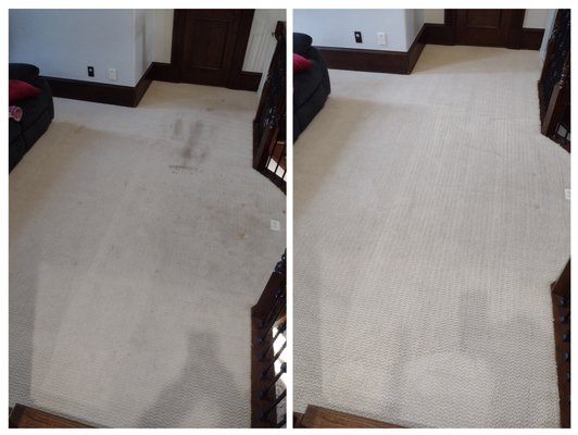 House refresh - This home needed a fresh start. We were able to work with their hectic schedule and get the carpets brightened up. House refresh - This home needed a fresh start. We were able to work with their hectic schedule and get the carpets brightened up.