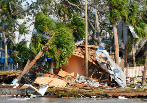 Florida Homeowners Urged to Remove Hazardous Trees Ahead of Storm Season - Ocala, FL – With Florida’s hurricane season in full swing, experts are urging homeowners to address potential safety hazards posed by dead or weakened trees on their properties. Tree removal has become a critical measure for reducing risks during severe weather events, which can bring high winds and heavy rains capable of toppling unstable trees.

“Florida’s unique climate, combined with frequent storms, makes tree maintenance a year-round priority,” said a local arborist. “Trees that are diseased, dead, or have compromised root systems are especially dangerous during hurricanes and need to be removed promptly.”

Falling trees can cause severe property damage, block evacuation routes, and even endanger lives. Professionals recommend scheduling tree inspections and removal services now to ensure that properties are safe and prepared for any upcoming storms.

By taking proactive steps, Florida residents can help protect their homes, families, and neighborhoods from the unpredictable dangers of storm season.