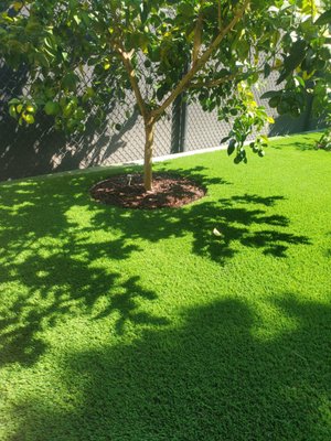 Garden Turf Installation - This project was done in the garden area of a backyard. We transformed her garden to a functional yet beautiful space. Garden Turf Installation - This project was done in the garden area of a backyard. We transformed her garden to a functional yet beautiful space.