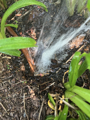 Sprinkler and Irrigation Maintenance - We specialize in sprinkler irrigation and maintenance. Sprinkler out of control and need repairs? Call us today for a free estimate!
