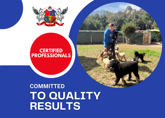 Certified Professionals - Royal Dog Academy has certified professionals who are always committed to quality results! Certified Professionals - Royal Dog Academy has certified professionals who are always committed to quality results!