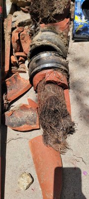 Broken clay sewer pipe - The customer had a main sewer line blockage with heavy root intrusion. Located cause and excavated to reach broken sewer line and repair to restore sewer flow. Broken clay sewer pipe - The customer had a main sewer line blockage with heavy root intrusion. Located cause and excavated to reach broken sewer line and repair to restore sewer flow.