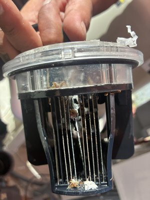 Salt cell chlorinator - This particular salt cell had a broken electrode. These can wear and tear from 2-7 years. Salt cell chlorinator - This particular salt cell had a broken electrode. These can wear and tear from 2-7 years.