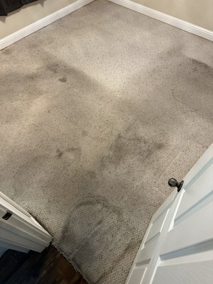 Carpet restoration - Deep cleaning for dirty carpet done Carpet restoration - Deep cleaning for dirty carpet done