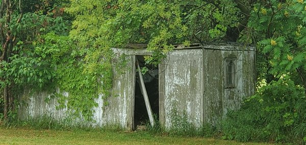Shed demolition & removal - We removed a 25’x12’ shed Shed demolition & removal - We removed a 25’x12’ shed