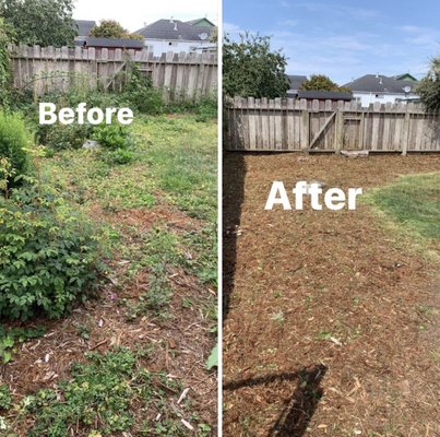 Yard Clean ups-Before and After - We offer a variety of services including mowing, edging, weed control, leaf blowing, small tree, shrub and hedge trimming, green waste hauling, gutter cleaning, brush clearing, and much more.