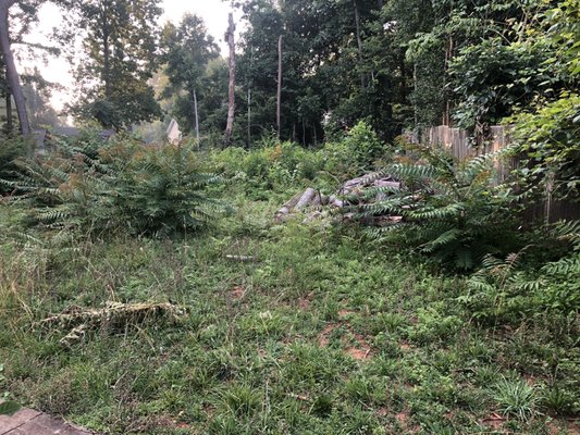 Backyard Clearing - During this project a client asked us to clear their backyard in preparation for a home appraisal. Within the next 2 weeks we will be cutting down trees, grinding stumps and grading. After the land is level we will be putting up a new fence and laying down grass.