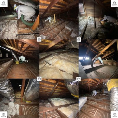 Attic Insulation Bundle - Attic Insulation and debris clean up for approximately 1,300sqf
Air seal penetrations all around attic space and screen mash
Sanitize decontamination entire attic space
Lay new R38 batts insulation.
https://clienthub.getjobber.com/booking/f4a12134-ec13-4d99-9748-ae88fa282db4 Attic Insulation Bundle - Attic Insulation and debris clean up for approximately 1,300sqf
Air seal penetrations all around attic space and screen mash
Sanitize decontamination entire attic space
Lay new R38 batts insulation.
https://clienthub.getjobber.com/booking/f4a12134-ec13-4d99-9748-ae88fa282db4
