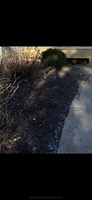 Landscape Work - Cleaned up a front yard landscape that needed weeds and rocks removed. Cleaned up with removing weeds and rocks with new brown mulch Landscape Work - Cleaned up a front yard landscape that needed weeds and rocks removed. Cleaned up with removing weeds and rocks with new brown mulch